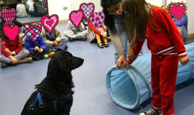 La pet therapy: cani, gatti, asini e pappagalli in aiuto di chi soffre